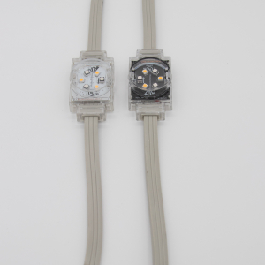 48V Lights (comes in 30 FT lengths)